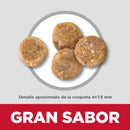Comida para perro Hills Adulto Estomago y Piel Sensible
