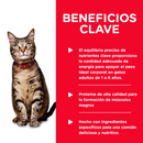 Comida Húmeda para Gato Hills Liver and Chicken 5.5 Onz