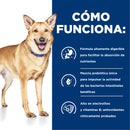 Comida Húmeda Perros Hills Prescription Digestive Care