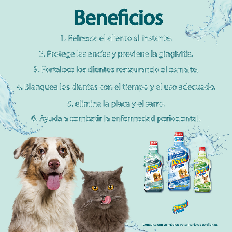 Enjuague Bucal para perro Dental Fresh Whitening 17 oz