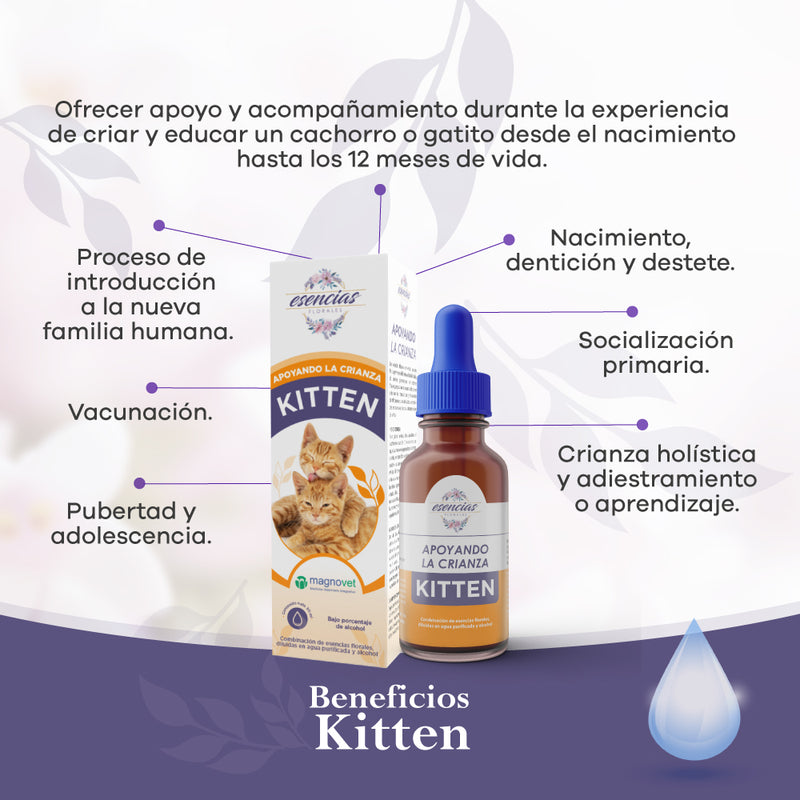 Esencia floral Kitten Gotas 30ML