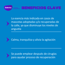 Esencia floral Rescate Gotas 30 ml