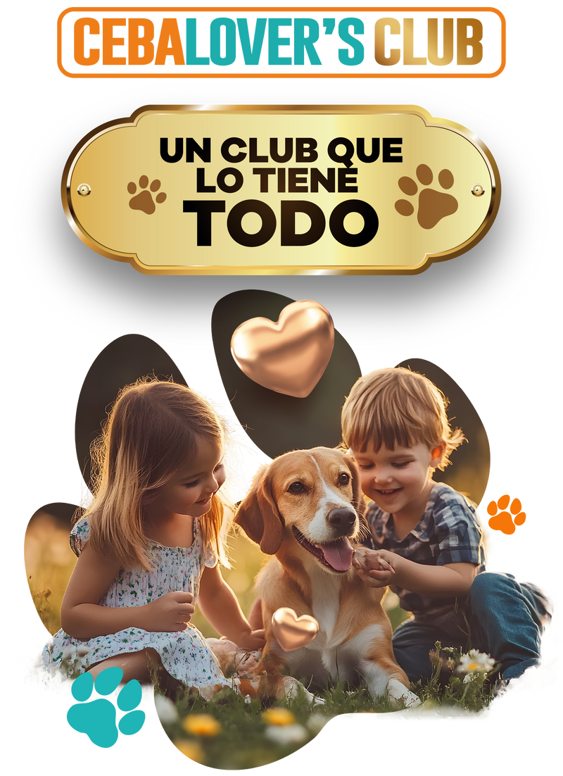 Imagen club