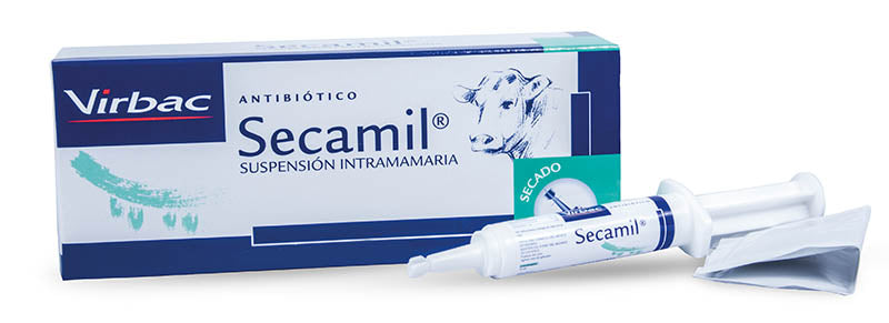 SECAMIL JERINGA