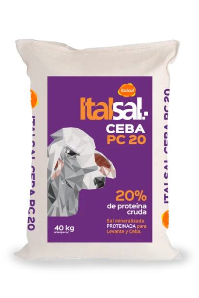 Italcol Italsal Ceba PC 20 x 40 kg