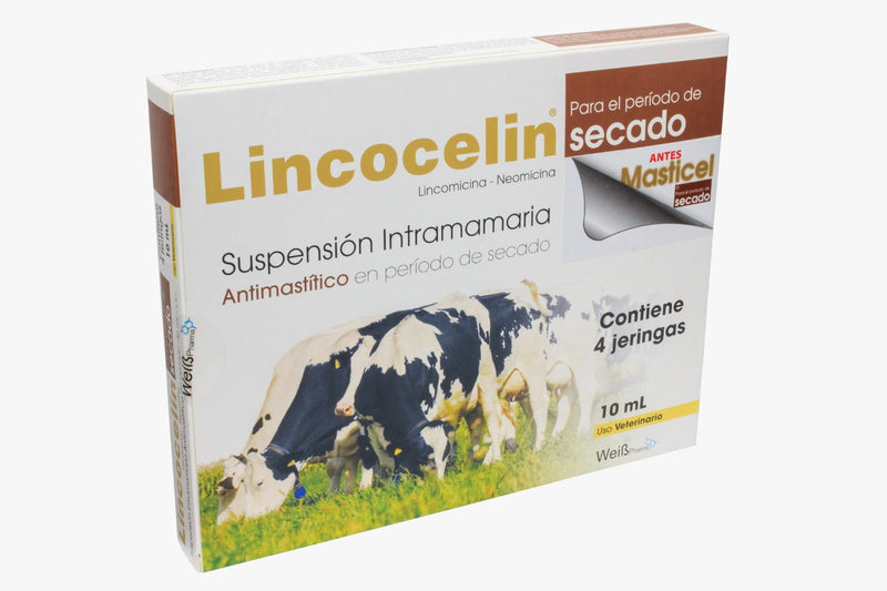 LINCOCELIN SECADO CAJA X 4 JGA 10 ML