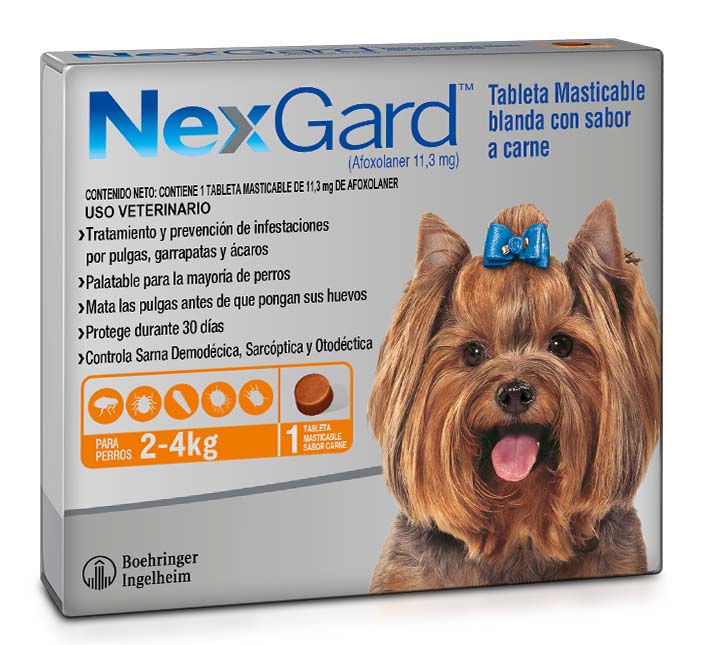 NEXGARD (2-4KG)