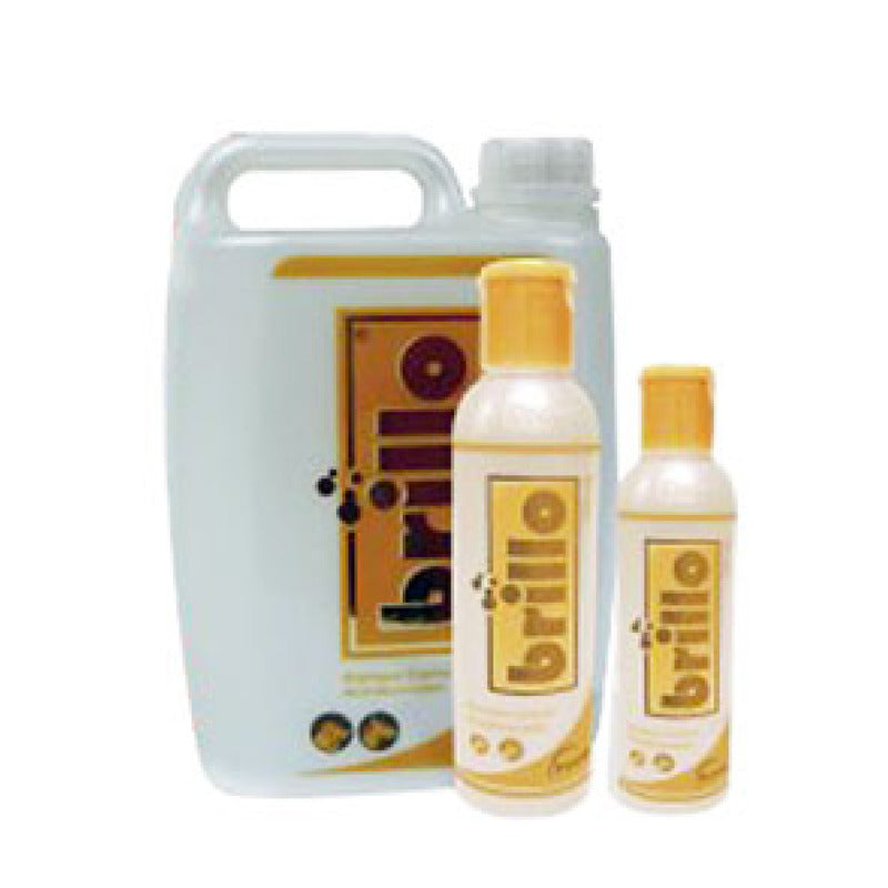 SHAMPOO BRILLO MEDICADO