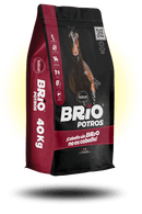 ITALCOL BRIO POTROS P X 40 KL