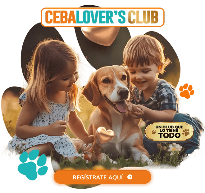 Imagen principal Cebalovers VIP