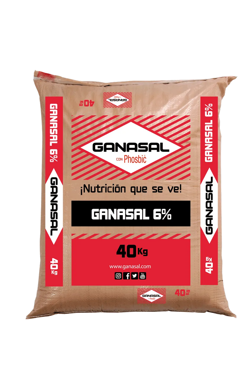 Ganasal 6% Bloque x 25 kg