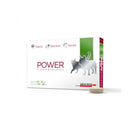 Antiparasitario Power 1 Tableta (Gato 6-12 kg / Perro 10-20 kg)