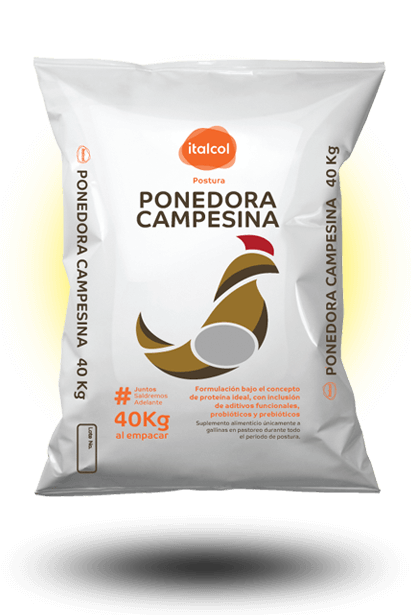 ITALCOL PONEDORAS CAMPESINA P.