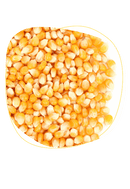 Maíz Amarillo Nacional x 40 kg