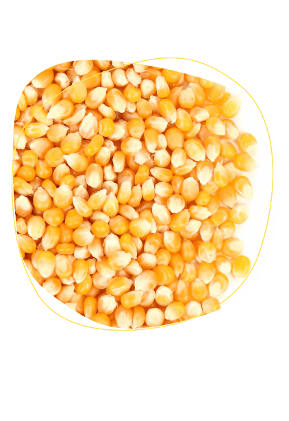 Maíz Amarillo Nacional x 40 kg