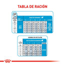 ROYAL CANIN MINI STARTER M&B DOG X 1 KG