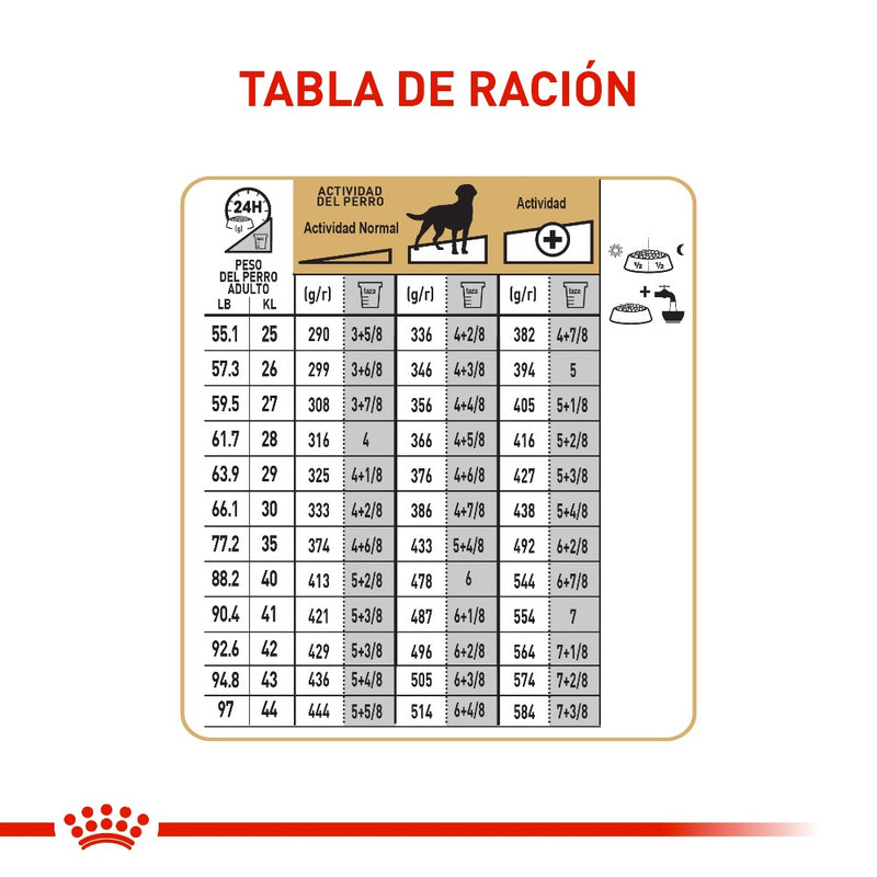 ROYAL CANIN LABRADOR ADULTO 13.6 KG