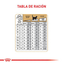 Comida Para Gato Royal Canin Feline Ragdoll X 3.2 Kg