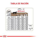 Comida Para Gato Royal Canin Feline Ageing + 12 X 2 Kg