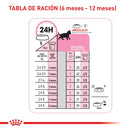 Comida Para Gato Royal Feline Kitten