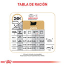 Comida Para Gato Royal Feline Persian Kitten X 2 Kg