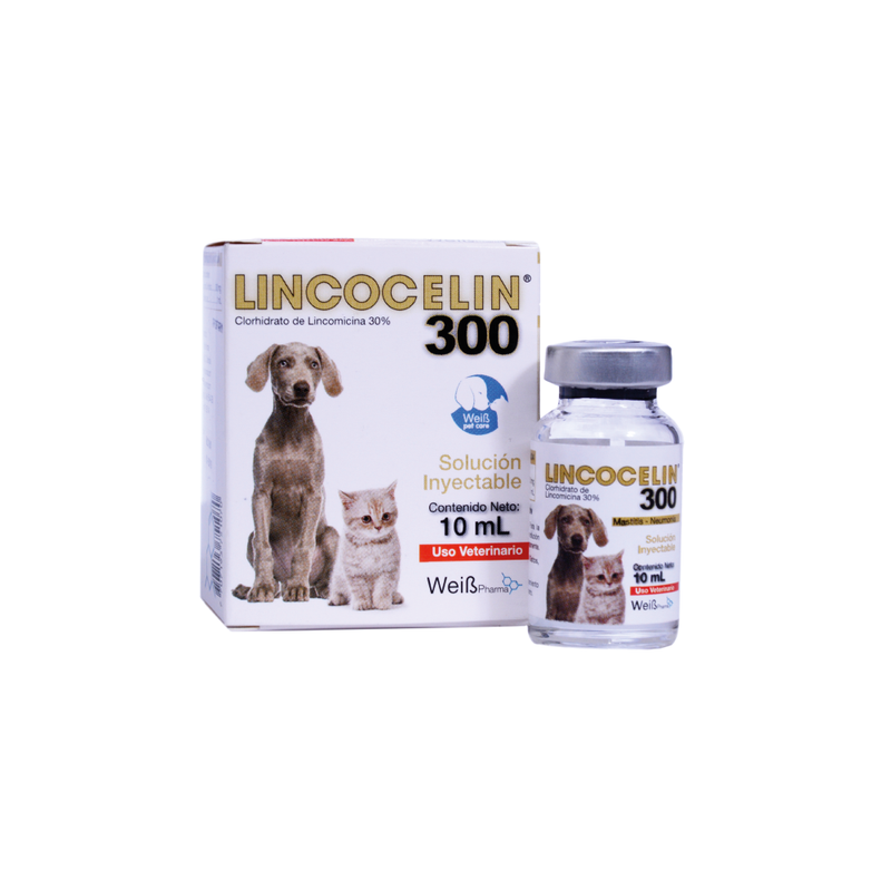 LINCOCELIN INYCTABLE FRASCO