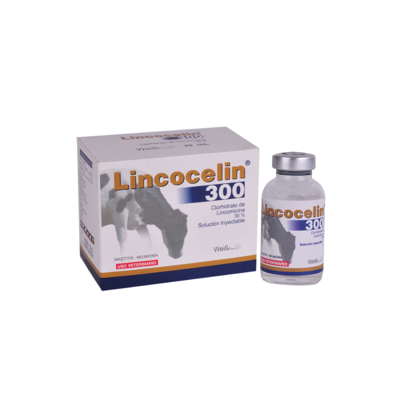 LINCOCELIN INYCTABLE FRASCO