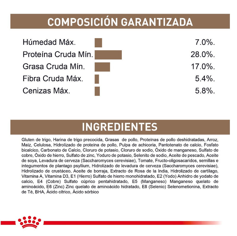 ROYAL CANIN FELINE AGEING +12 X 2 KG