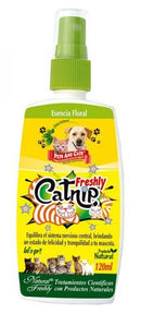 CATNIP FRASCO X 120 ML
