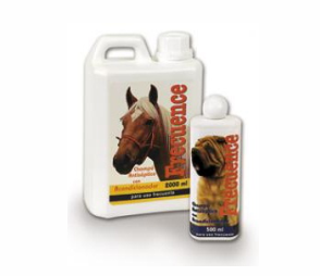 SHAMPOO FRECUENCE EQUINOS X 2 LITROS