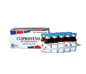 CLOPROSTENOL X 20 ML