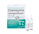 Coenzyme Compositum Ad Us Vet Amp 5 ML