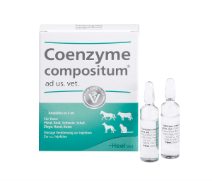 COENZYME COMPOSITUM AD US VET AMP 5ML