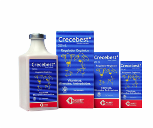 CRECEBEST