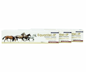 EQUANTEL LP JGA X 6.42GR