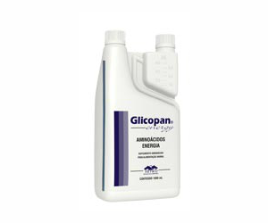 GLICOPAN ENERGY X 1 LITRO