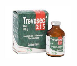 TREVESEC S.I