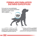 Comida Para Perro Royal Canin Anallergenic Dog X 3 Kg