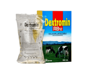 DEXTROMIN RB12 BOLSA X 500ML