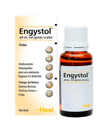 ENGYSTOL X 30 ML GOTAS