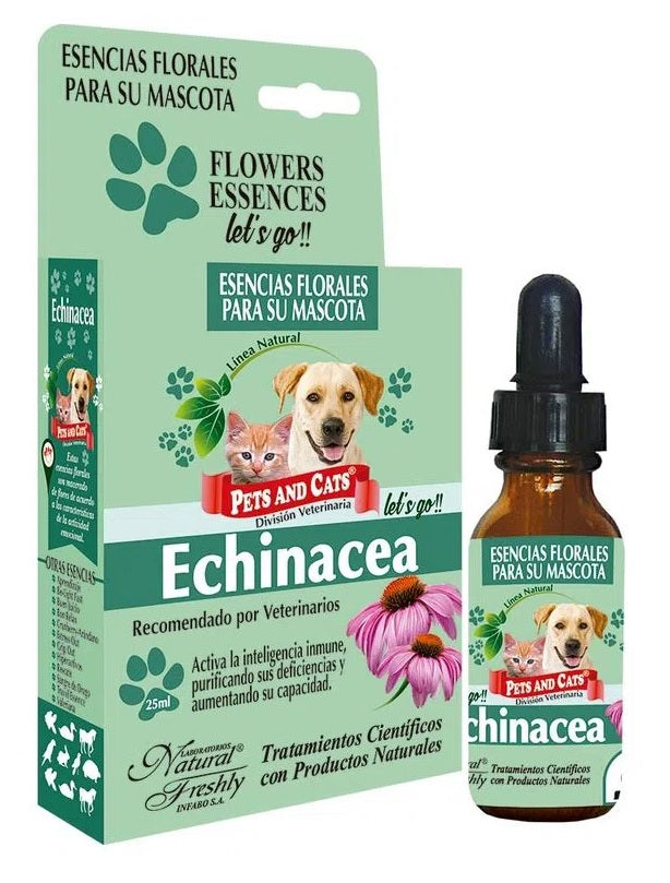 ESENCIA ECHINACEA (ACTIVA SISTEMA INMUNE) X 25 ML