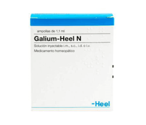 GALIUM AMP X 1.1 ML