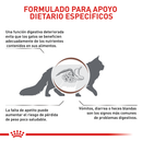 Comida Para Gato Adulto Royal Feline Gastrointestinal X 2 Kg