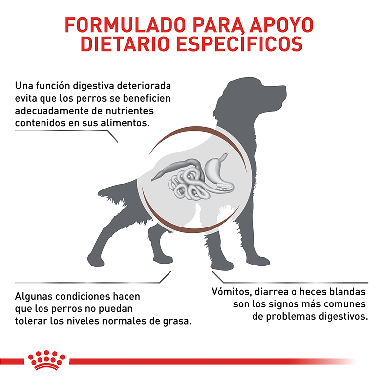 ROYAL CANIN GASTROINTESTINAL LOW FAT DOG