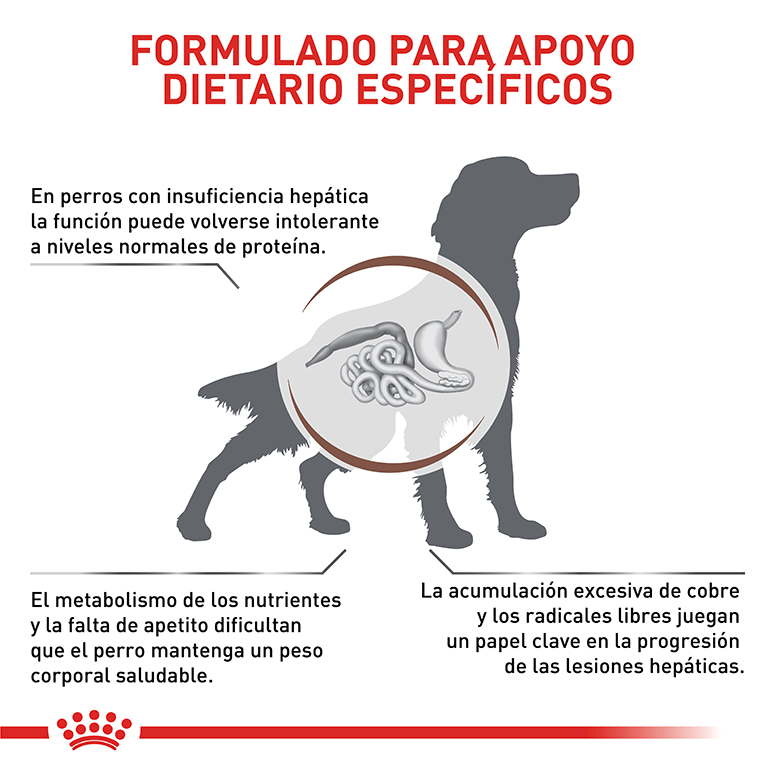 ROYAL CANIN HEPATIC DOG