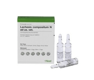 LACHESIS COMPOSITUM AD US VET X 5 ML