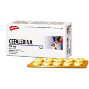 Antibiótico Cefalexina 500mg 10 Tabletas