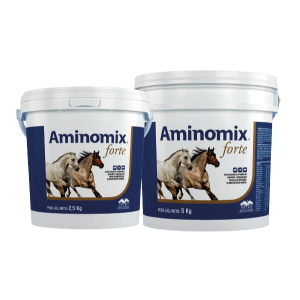 AMINOMIX FORTE