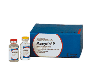 MAMYZIN P X 5 GR