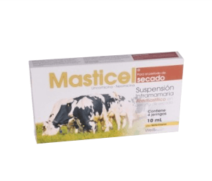 MASTICEL SECADO CAJ X 4 JGA X 10 ML